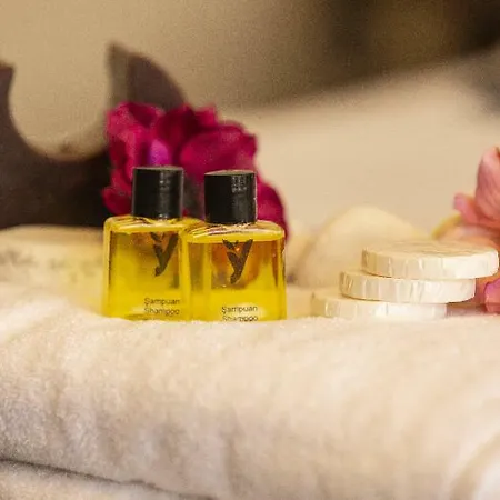 Old Town Boutique 3*